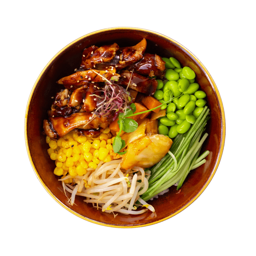 Teriyaki Chicken